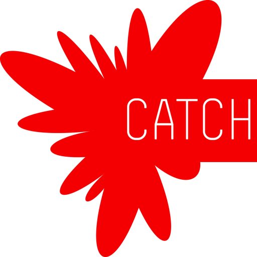 Catch up гозе. Catch up. I catch up. Catch up. Catch up сервисы.